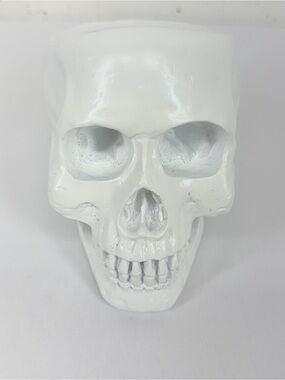 Unmarked White 4 inch Skull Planter